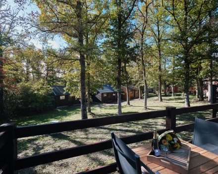 Foto's Chalet d'un Ami