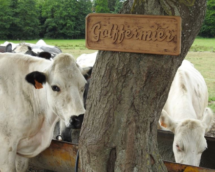 La Ferme de la Bourgade