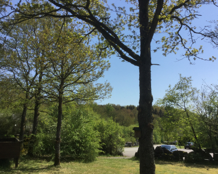 Omgeving