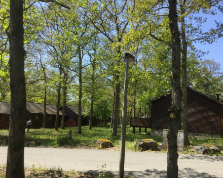 Omgeving