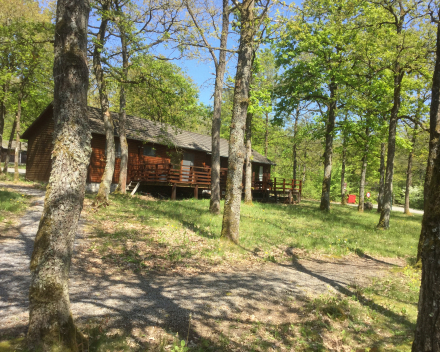 Omgeving