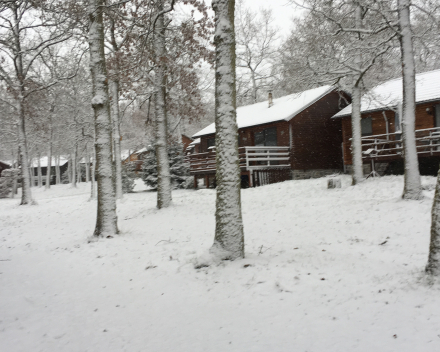 Chalet d'un ami