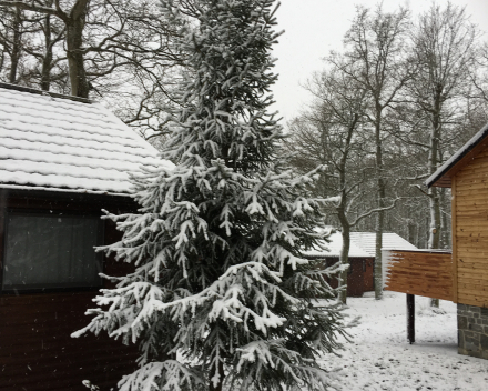 Chalet d'un ami