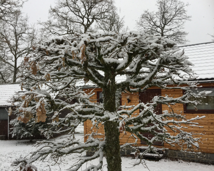 Chalet d'un ami