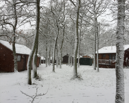 Chalet d'un ami