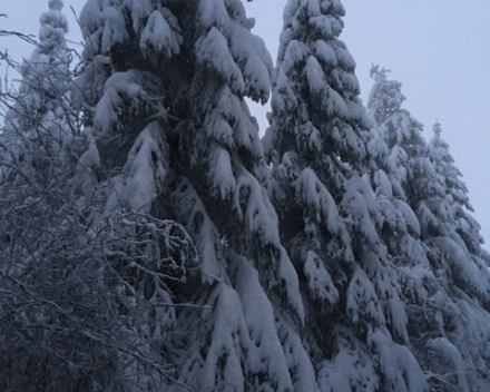 Chalet d'un ami