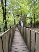 park chlorofyl